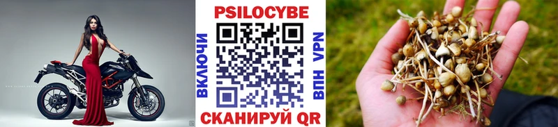 Галлюциногенные грибы Magic Shrooms Димитровград